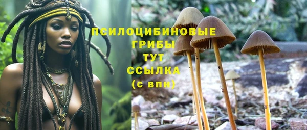 твердый Пестово