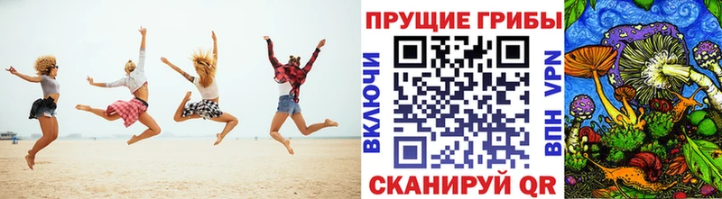 мега tor  Ростов  Псилоцибиновые грибы мухоморы 